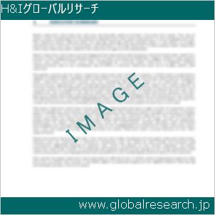 グローバルリサーチ調査レポートのイメージ